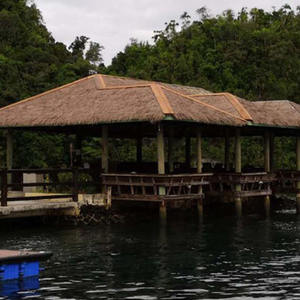 Techos de paja Keba agua Reed Thatch Thatchsynthetic techo de paja - Product Image 4