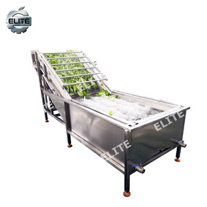 Machine et ligne <span class=keywords><strong>de</strong></span> lavage industrielle pour légumes, fruits, dattes et carottes - Product Image 2