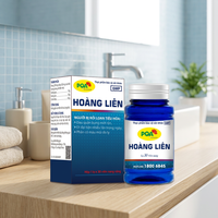 Capsules de gélatine dure de Coptis Chinensis – Complément alimentaire pour adultes et adolescents – Durée de conservation de 36 mois – Origine Vietnam – Soutient la santé