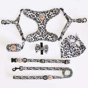 Arnés de malla ajustable para perro, accesorio popular de personalización, chaleco acolchado para perro, bolsa para excrementos, correa para collar - Product Image 2