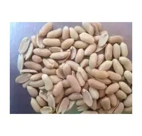 High Quality Durable Using Peanut Kernel Roasted Blanched Peanut Kernel