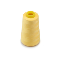 Fil de soie naturelle en soie 100g 60s/2/3 3000y/5000y/8000y, pour tricot/tissage