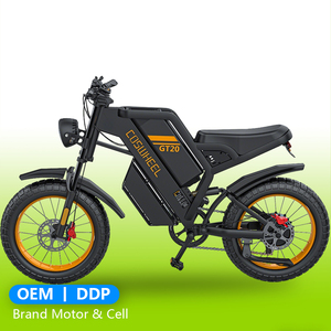 Motocicleta Todoterreno GT20 48V, 60 km/h, Neumáticos Anchos para Adultos, Bicicleta Eléctrica Urbana - Product Image 1