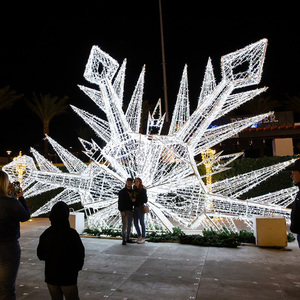 Flocons <span class=keywords><strong>de</strong></span> neige pour l'extérieur, l'intérieur, le jardin, la rue, éclairage paysager grand, moyen et petit, lumières décoratives personnalisées 2D3D, flocons <span class=keywords><strong>de</strong></span> neige - Product Image 3