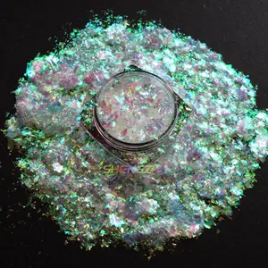 Nouveau 20 couleurs arc-en-ciel caméléon couleur changeante flocons holographiques pour ongles Aurora poudre Pigment