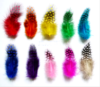 Teint naturel 50pc ploybag plume de guinée pour bricolage artisanat cheveux Costume accessoire de pêche mouche attachant ornement rêve frange décor