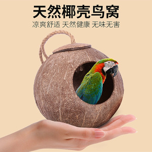 Nouveau Nid d'Oiseau en Coque de Noix de Coco Couronne Asiatique, Jouet Écologique Arrondi pour Hamster d'Intérieur - Product Image 3