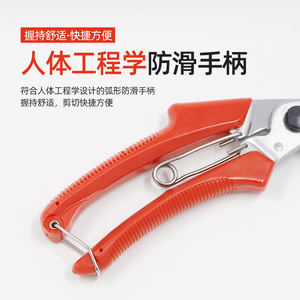 Basil Fruit Tree Pruning Shears Carbon Steel Red 120mm Butterfly Structure Manual Trimming Diameter 20-30mm - Product Image 5