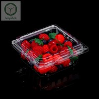 Boîtes de rangement rectangulaires transparentes en PET pour aliments, jetables, pour fruits (myrtilles, fraises, cerises), légumes et viandes