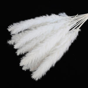 DREA estilo bohemio Pequeña hierba de Pampa muchos colores decoración de flores secas naturales para la decoración del hogar de la boda - Product Image 4