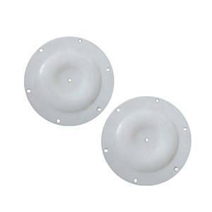 01-1010-55 y otro tamaño bomba neumática de espaã a wilden PTFE bomba duradera de diafragma - Product Image 2
