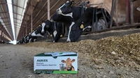 Kit de test de gestation rapide pour bovins – Détection précoce de la gestation chez les animaux d'élevage