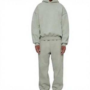 Chándal con Capucha para Hombre, Color Gris Claro, Manga Larga, Color Sólido, Corte Holgado Informal, Bolsillos Laterales, Transpirable, Ropa de Otoño, Corte Regular para Adultos - Product Image 1
