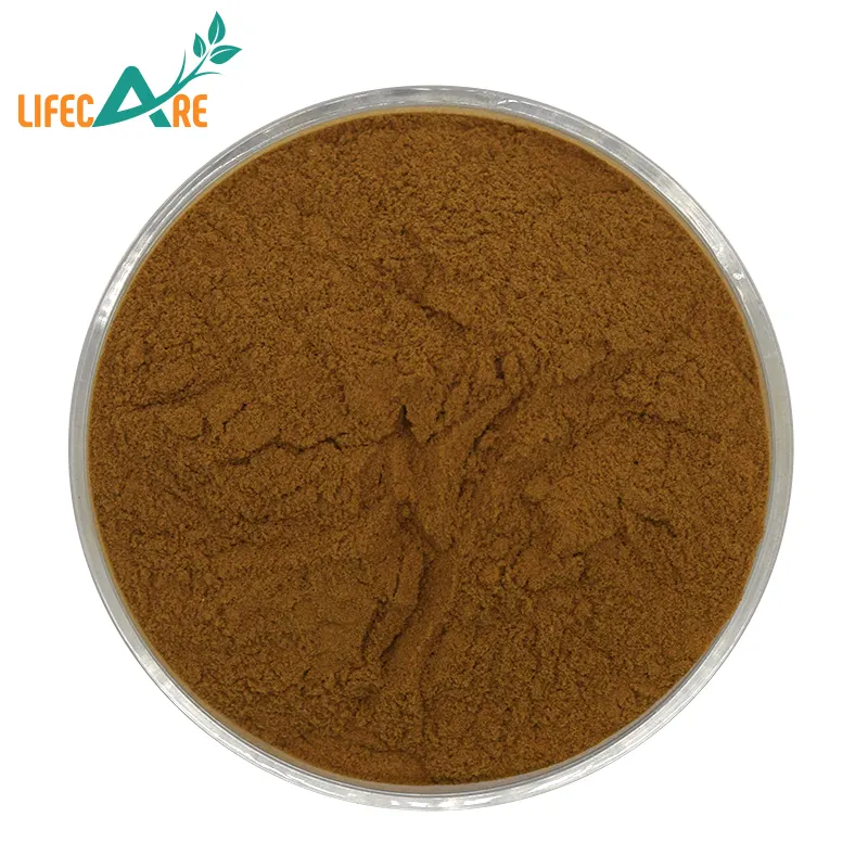Lifecare cung cấp chất lượng cao Schisandra chiết xuất cấp thực phẩm Schisandra chinensis chiết xuất