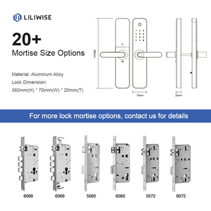 Cerradura de Puerta Inteligente Liliwise Personalizada al por Mayor, Cerradura Digital sin Llave Tuya Ttlock, Impermeable, con Cámara - Product Image 4