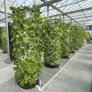 Vertikaler Erdbeer turm Hydro ponic Indoor Garden Strawberry Tower