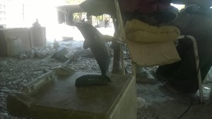 Escultura de Madera Africana Hecha a Mano, Estatua Tribal Tradicional, Decoración para el Hogar, Arte - Product Image 5