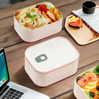 Boîte à lunch chauffante pour micro-ondes, en plastique, motif dessin animé, 2 compartiments, rectangulaire, scellée, réutilisable, anti-fuite, pour étudiants, avec séparateur vert