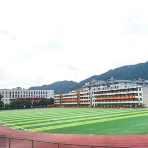 Proveedor Futsal Césped sintético Césped de fútbol artificial <span class=keywords><strong>5</strong></span> A Campo de fútbol lateral Artificial - Product Image 3