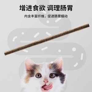 Palo de dentición de gato de madera Tianliao, artefacto de alivio del aburrimiento, varilla larga, hierba gatera, suministros para gatitos, mordedor para bebé - Product Image 5