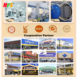 Bán buôn đông lạnh sô cô la bao phủ mâm xôi OEM/nhãn hiệu riêng cho các nhà phân phối & siêu thị - Product Image 6