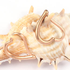 Evorte Bijou de piercing pour enfants en acier inoxydable, style punk, en forme de cœur, pour nez, lèvre, oreille, type clicker, anneau, manchette, boucle d'oreille, piercing corporel - Product Image 5