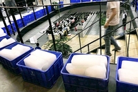 Machine à glace industrielle ICEMA 2t 5 tonnes avec compresseur 220V, moteur, système PLC et système de bain-marie pour la production de blocs de glace