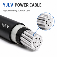 Câble chauffant électrique antidéflagrant en aluminium de haute qualité YJLV pour usage industriel, isolation nue, souterrain, 250V 1*0.5mm