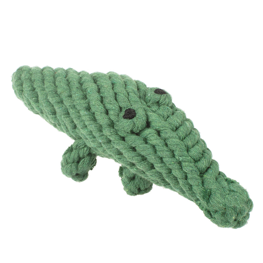 crocodile