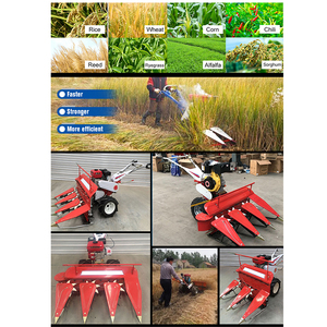 Moissonneuse agricole multifonctionnelle à essence, poussée manuelle, à engrenages, pour riz, blé, maïs, thé, pour <span class=keywords><strong>la</strong></span> ferme - Product Image 6