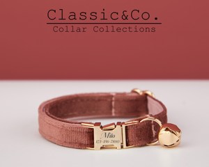 Arizona Veet Personalized Cat & Small Dog Collar Bow <b>Tie</b> Leash Set,Free Engraved Kitten Puppy Name Tag,Gold Bell,Pet Birthday - Product Image 2