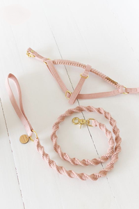 <span class=keywords><strong>2026</strong></span> 2025 Hochwertiges Makramee-Hundegeschirr-Set mit Schnellverschluss, Solides Muster, Hundeleine, Halsbänder und Führleine für Hunde - Product Image 3