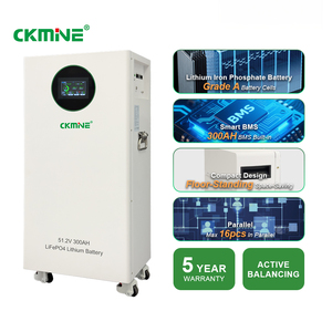 Batería de Litio de 15kwh, 8000+ Ciclos, 51.2V 48V 300Ah, Celdas de Grado A, para Sistema de Almacenamiento de Energía con Inversor Solar de 6kw <span class=keywords><strong>8kw</strong></span> 10kw 12kw - Product Image 2