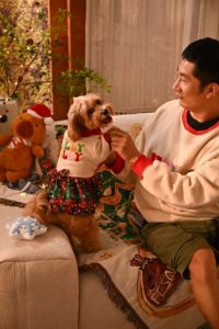 Vestido Navideño Festivo para Mascotas, Conjunto <span class=keywords><strong>Familiar</strong></span> a Juego, Sudadera Suave y Falda de Capas a Cuadros, Ropa para Perros y Gatos - Product Image 2