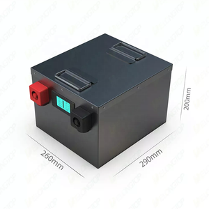 Batería Delongtop 48v 50ah 60ah 75ah Personalizada de Fábrica con BMS para Bicicleta de Tres Ruedas, Triciclo, Batería DL-5150 48v - Product Image 1