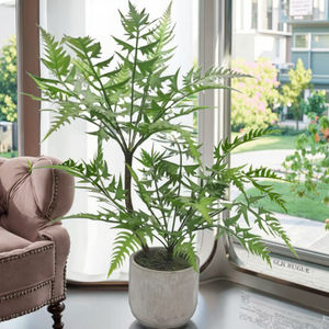 Succulentes artificielles personnalisées décoratives PVC <span class=keywords><strong>pot</strong></span> d'herbe jardinière écologique verdure réaliste nouveau Design <span class=keywords><strong>en</strong></span> gros plante arbre - Product Image 1