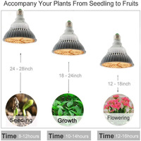 Ampoule de croissance LED multifonctionnelle à spectre complet de 100W, adaptée à la croissance des plantes, des légumes et des fleurs herbacées