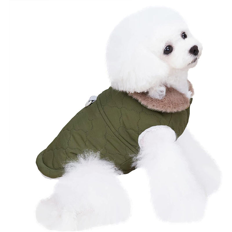 กองทัพสีเขียว