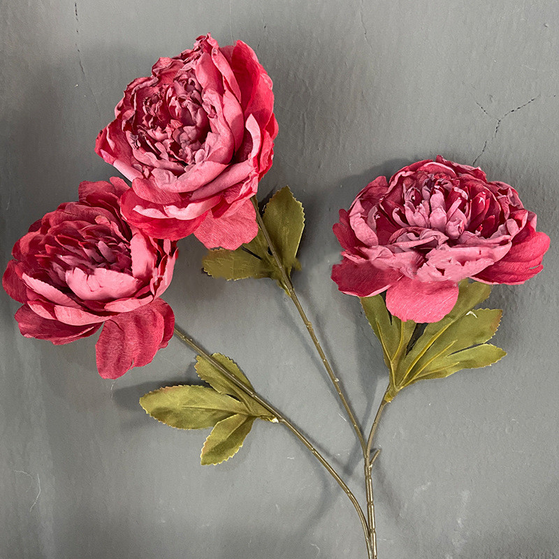 #4 chaude Rose fleur