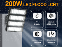 WERISE - Reflector LED Exterior Impermeable de Larga Duración, Superbrillante, con Chip SMD, para Canchas Deportivas y Estacionamientos