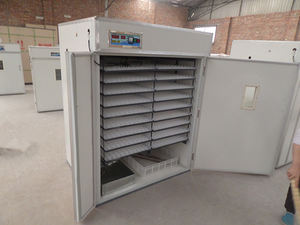 İngilizce denetleyicisi ile tam otomatik küçük orta ev yumurta kuluçka akıllı inkübatör tavuk 220V Motor ev kullanımı - Product Image 2