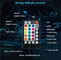 RGBW Twinkle Starlight Headliner App Control Car Roof Star Ceiling Kit de lumière moteur 1200pcs * 0.75mm * 5m LED Fiber Optic Light