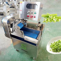 Máquina Cortadora Industrial de Vegetales para Repollo, Cebolla, Apio, Cebollino Chino y Tallos de Ajo 110V