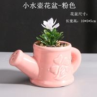 Petit pot à eau en céramique créatif DH4, pot à succulentes, ornement décoratif artisanal