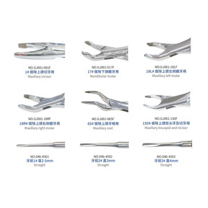 Kit d'instruments d'extraction dentaire en acier inoxydable, outils manuels de retrait de dents pour chirurgie buccale - Product Image 2