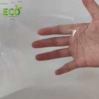 Nouveau gros PA PE vide alimentaire sac sous vide usine gros chewing-gum Texture sac Hamburger conserve alimentaire sac