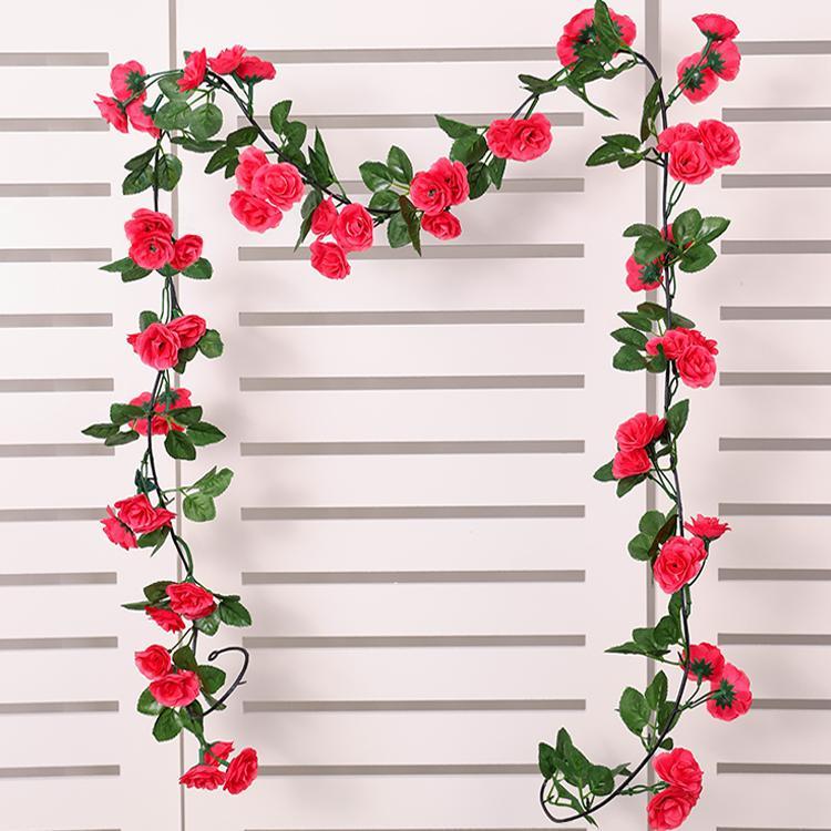 [Rose Rouge - 1] 69 têtes de rosiers grimpants