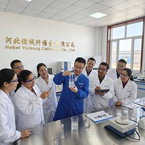 Redispersible Latex Powder RDP Excellent Flexibility &amp; Impact Resistance Dry Mix Mortar Additive - Product Image 2