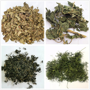 Trà Hoa Kim Ngân Khô Tự Nhiên Trà Hoa Kim Ngân Trung Quốc Thảo Dược Kim Ngân Lonicera Japonica Hoa Khô Kim Ngân - Product Image 4