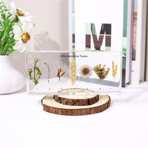 Alta infiorescenza acrilica trasparente tipi di resina campione di insegnamento risorsa per la scuola superiore - Product Image 1